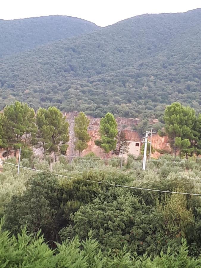 B&B Porta Del Gargano San Marco in Lamis Bagian luar foto